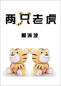 两只老虎小说封面
