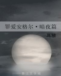 罪爱安格尔·暗夜篇小说封面