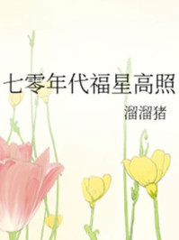 七零年代福星高照小说封面