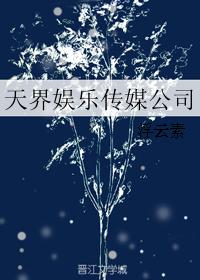 天界娱乐传媒公司小说封面