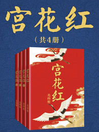 宫花红（全四册）小说封面