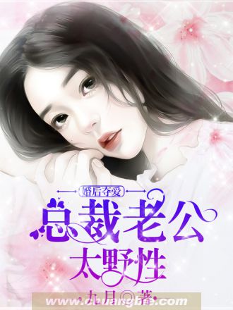 婚后夺爱：总裁老公太野性小说封面
